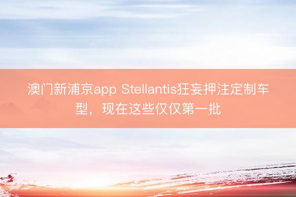 澳门新浦京app Stellantis狂妄押注定制车型，现在这些仅仅第一批