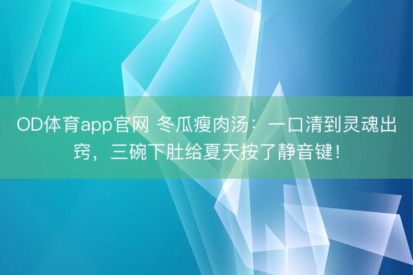 OD体育app官网 冬瓜瘦肉汤：一口清到灵魂出窍，三碗下肚给夏天按了静音键！