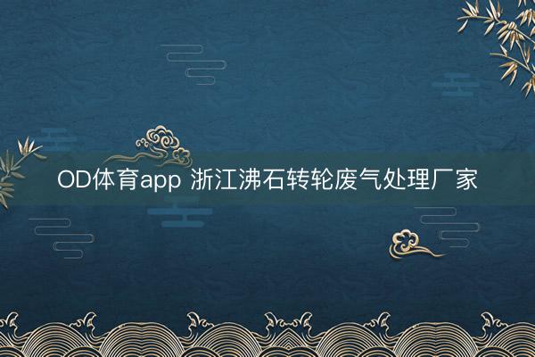 OD体育app 浙江沸石转轮废气处理厂家