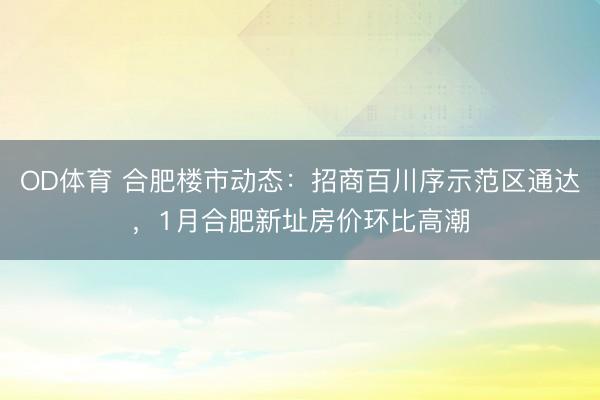 OD体育 合肥楼市动态：招商百川序示范区通达，1月合肥新址房价环比高潮
