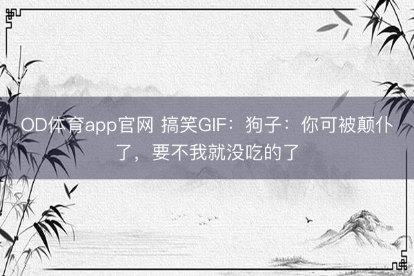 OD体育app官网 搞笑GIF：狗子：你可被颠仆了，要不我就没吃的了
