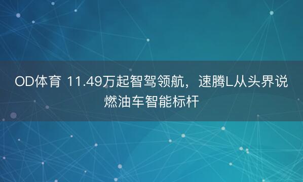 OD体育 11.49万起智驾领航，速腾L从头界说燃油车智能标杆