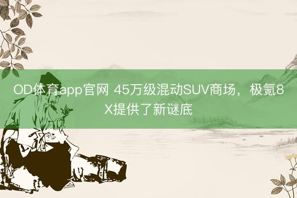 OD体育app官网 45万级混动SUV商场,极氪8X提供了新谜底