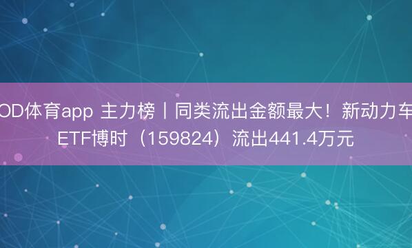 OD体育app 主力榜丨同类流出金额最大！新动力车ETF博时（159824）流出441.4万元