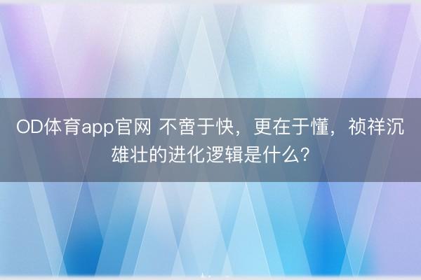 OD体育app官网 不啻于快，更在于懂，祯祥沉雄壮的进化逻辑是什么？