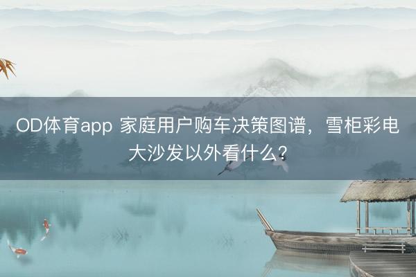 OD体育app 家庭用户购车决策图谱,雪柜彩电大沙发以外看什么?